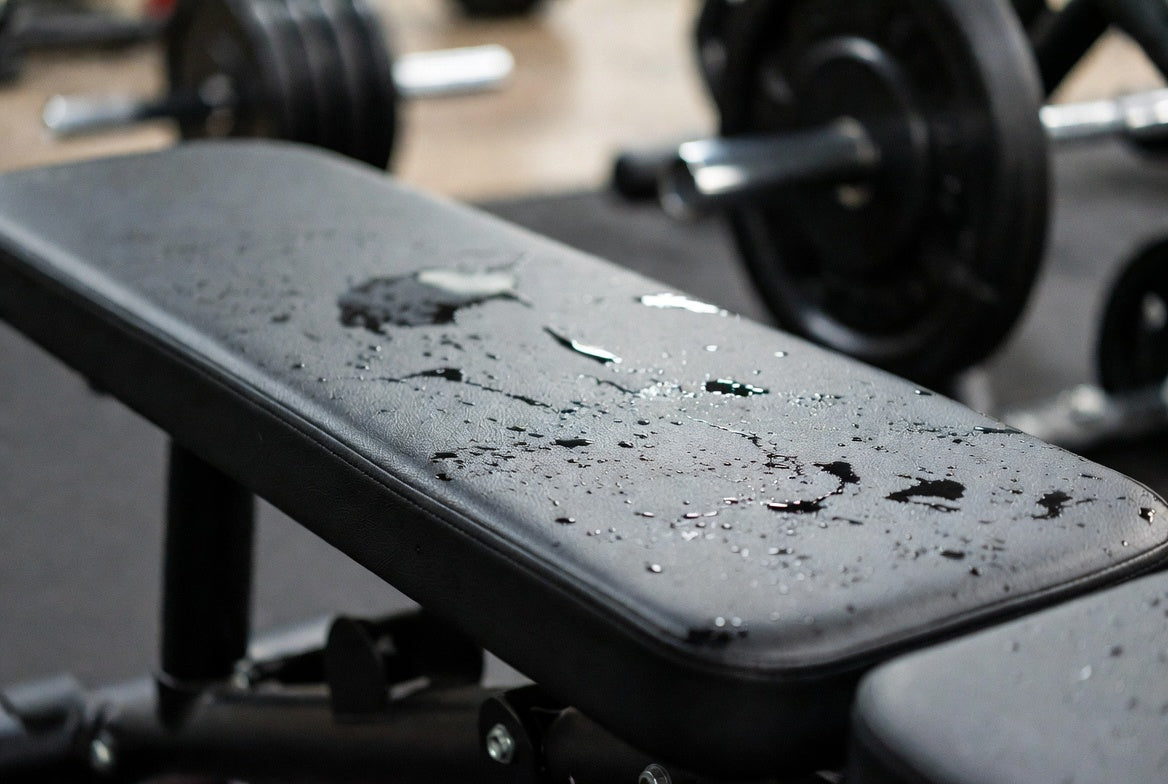 Sweat pooled across the vinyl pad of a gym bench
